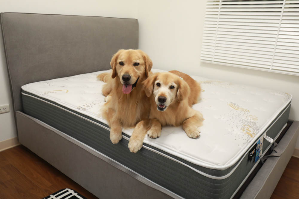 FAMO法摩恆溫涼感乳膠護框加厚獨立筒床墊。專門為台灣人設計、太空科技自動調溫表布、舒適乾爽一夜好眠! - 第2張圖 FAMO法摩恆溫涼感乳膠護框加厚獨立筒床墊。專門為台灣人設計、太空科技自動調溫表布、舒適乾爽一夜好眠!