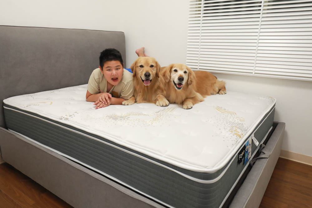 FAMO法摩恆溫涼感乳膠護框加厚獨立筒床墊。專門為台灣人設計、太空科技自動調溫表布、舒適乾爽一夜好眠! - 第1張圖 FAMO法摩恆溫涼感乳膠護框加厚獨立筒床墊。專門為台灣人設計、太空科技自動調溫表布、舒適乾爽一夜好眠!