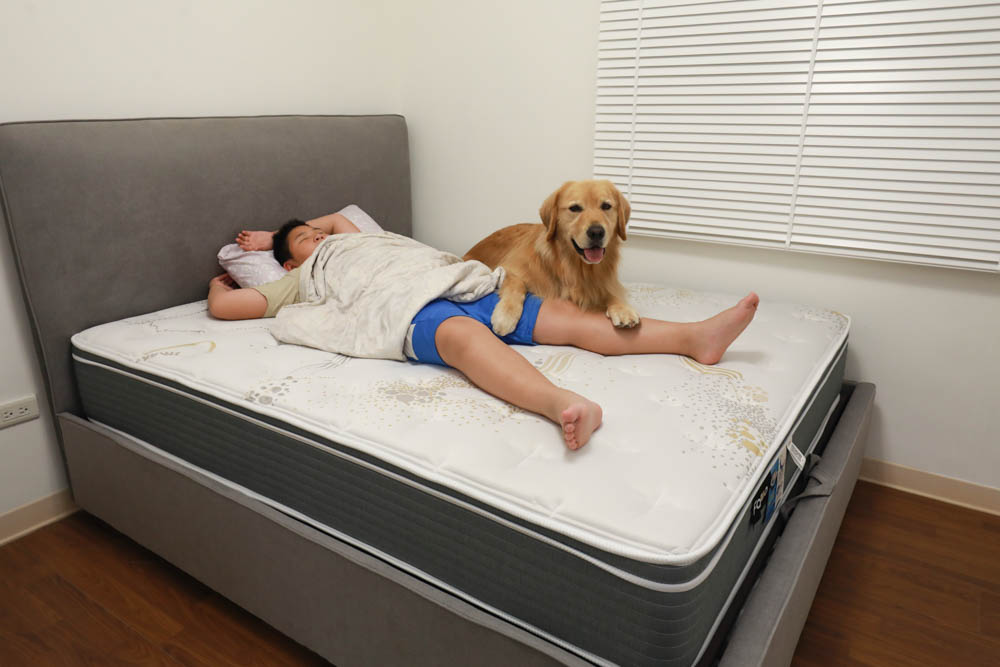 FAMO法摩恆溫涼感乳膠護框加厚獨立筒床墊。專門為台灣人設計、太空科技自動調溫表布、舒適乾爽一夜好眠! - 第8張圖 FAMO法摩恆溫涼感乳膠護框加厚獨立筒床墊。專門為台灣人設計、太空科技自動調溫表布、舒適乾爽一夜好眠!