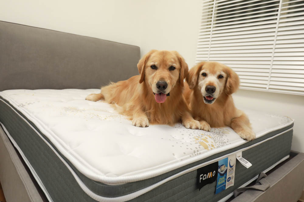 FAMO法摩恆溫涼感乳膠護框加厚獨立筒床墊。專門為台灣人設計、太空科技自動調溫表布、舒適乾爽一夜好眠! - 第3張圖 FAMO法摩恆溫涼感乳膠護框加厚獨立筒床墊。專門為台灣人設計、太空科技自動調溫表布、舒適乾爽一夜好眠!