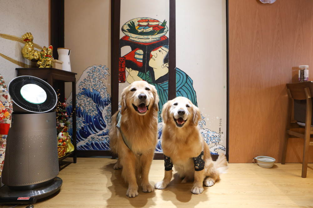 台北萬華美食｜心丰御膳日式料理坊。寵物友善餐廳、 日本無菜單料理、板前料理OMAKASE