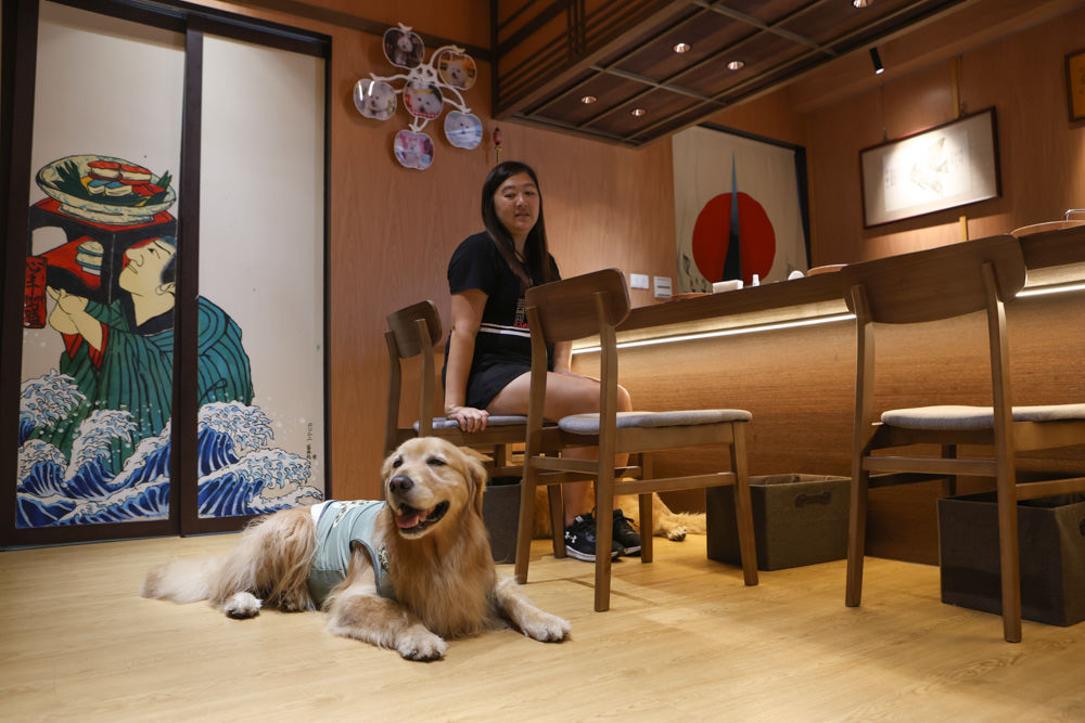 台北萬華美食｜心丰御膳日式料理坊。寵物友善餐廳、 日本無菜單料理、板前料理OMAKASE