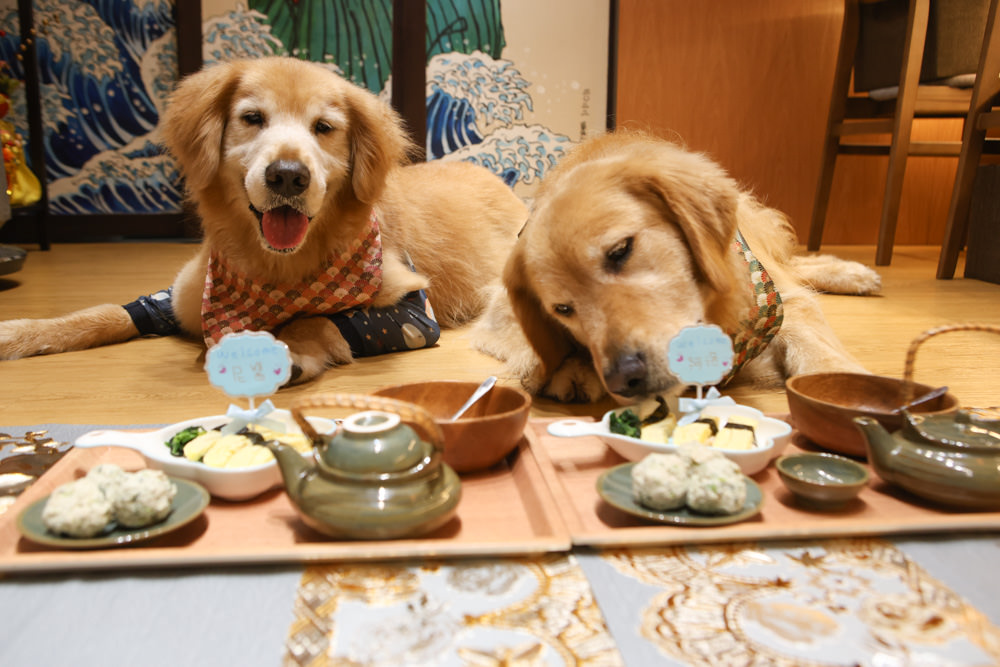 台北萬華美食｜心丰御膳日式料理坊。寵物友善餐廳、 日本無菜單料理、板前料理OMAKASE