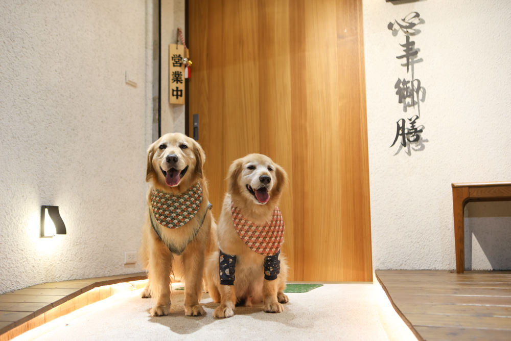 台北萬華美食｜心丰御膳日式料理坊。寵物友善餐廳、 日本無菜單料理、板前料理OMAKASE