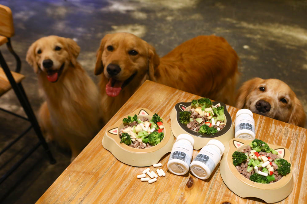 寵物關節保健｜心關健犬貓關節保健品。獸醫師推薦的狗狗關節保養品、添加 UC-II 、三合一關節保養配方、潤滑玻尿酸