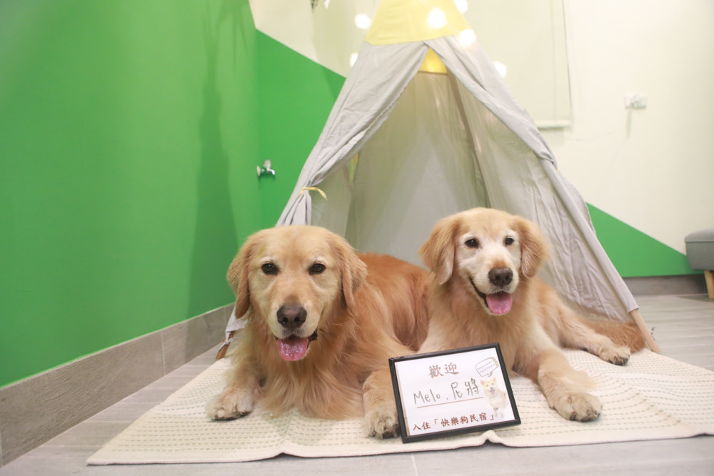 花蓮寵物友善民宿｜花蓮快樂狗寵物民宿。千坪大草原、毛小孩專屬游泳池、每間房間都有毛小孩專屬空間、狗狗床鋪