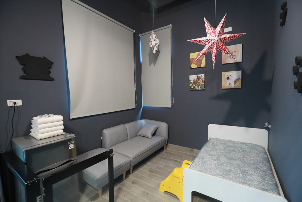 花蓮寵物友善民宿｜花蓮快樂狗寵物民宿。千坪大草原、毛小孩專屬游泳池、每間房間都有毛小孩專屬空間、狗狗床鋪