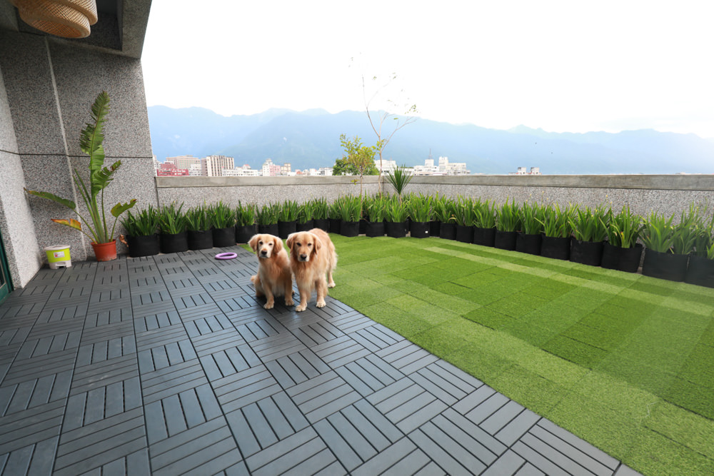 花蓮寵物友善民宿｜花蓮快樂狗寵物民宿。千坪大草原、毛小孩專屬游泳池、每間房間都有毛小孩專屬空間、狗狗床鋪