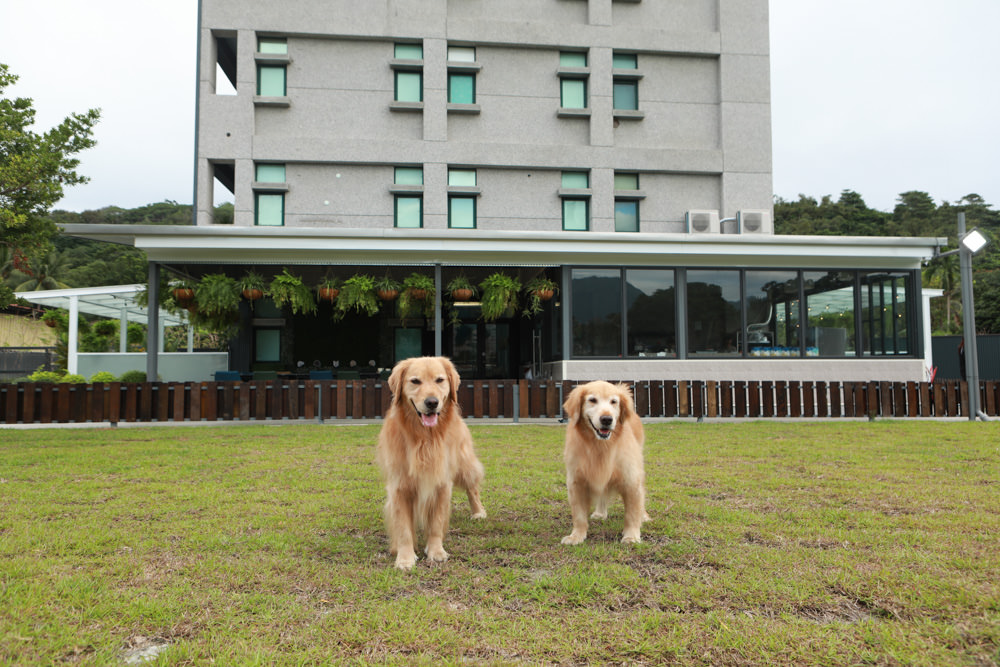 花蓮寵物友善民宿｜花蓮快樂狗寵物民宿。千坪大草原、毛小孩專屬游泳池、每間房間都有毛小孩專屬空間、狗狗床鋪