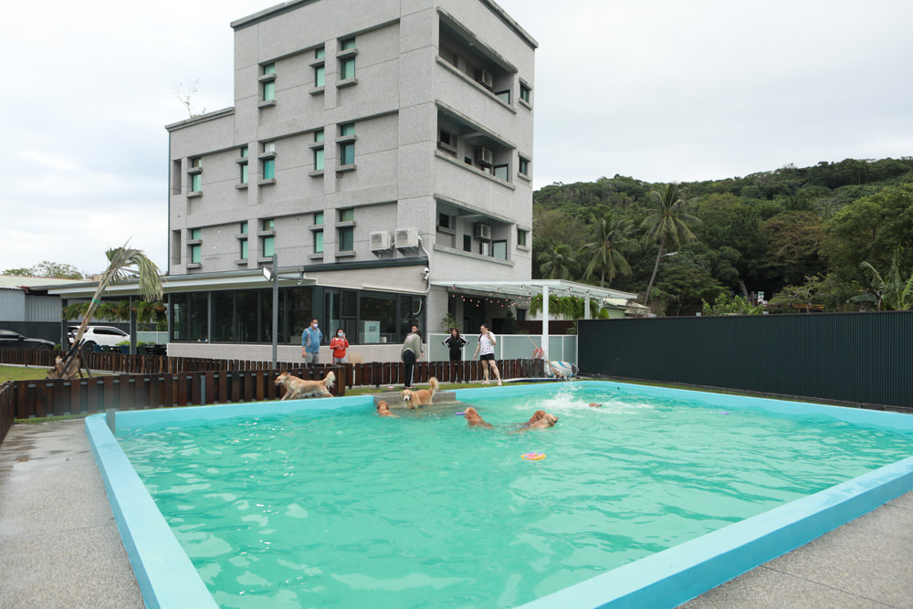 花蓮寵物友善民宿｜花蓮快樂狗寵物民宿。千坪大草原、毛小孩專屬游泳池、每間房間都有毛小孩專屬空間、狗狗床鋪