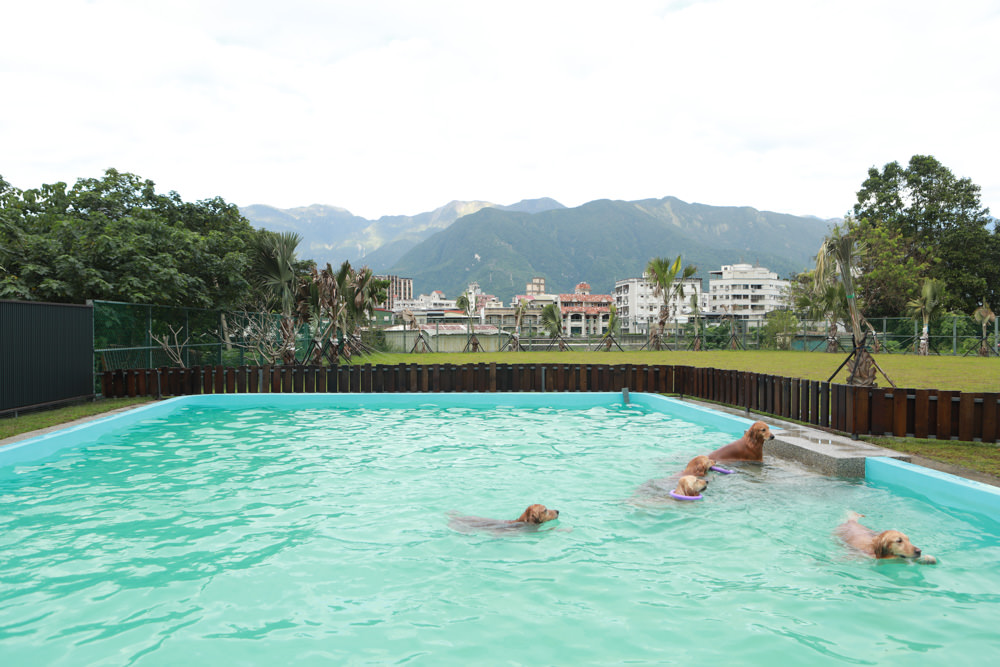 花蓮寵物友善民宿｜花蓮快樂狗寵物民宿。千坪大草原、毛小孩專屬游泳池、每間房間都有毛小孩專屬空間、狗狗床鋪