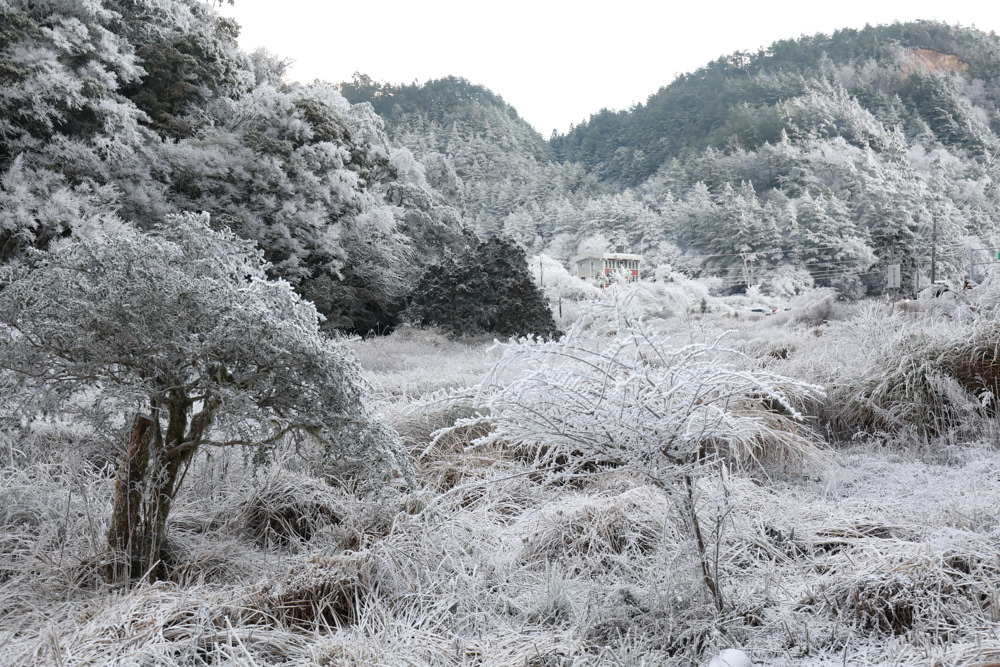 宜蘭景點｜思源埡口下雪。台七甲線宜蘭、台中交界、絕美銀白世界、雪白森林中中的寂寞派出所