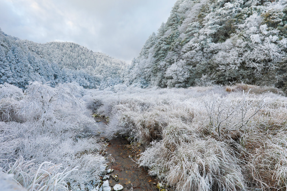 宜蘭景點｜思源埡口下雪。台七甲線宜蘭、台中交界、絕美銀白世界、雪白森林中中的寂寞派出所
