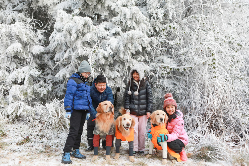 宜蘭景點｜思源埡口下雪。台七甲線宜蘭、台中交界、絕美銀白世界、雪白森林中中的寂寞派出所