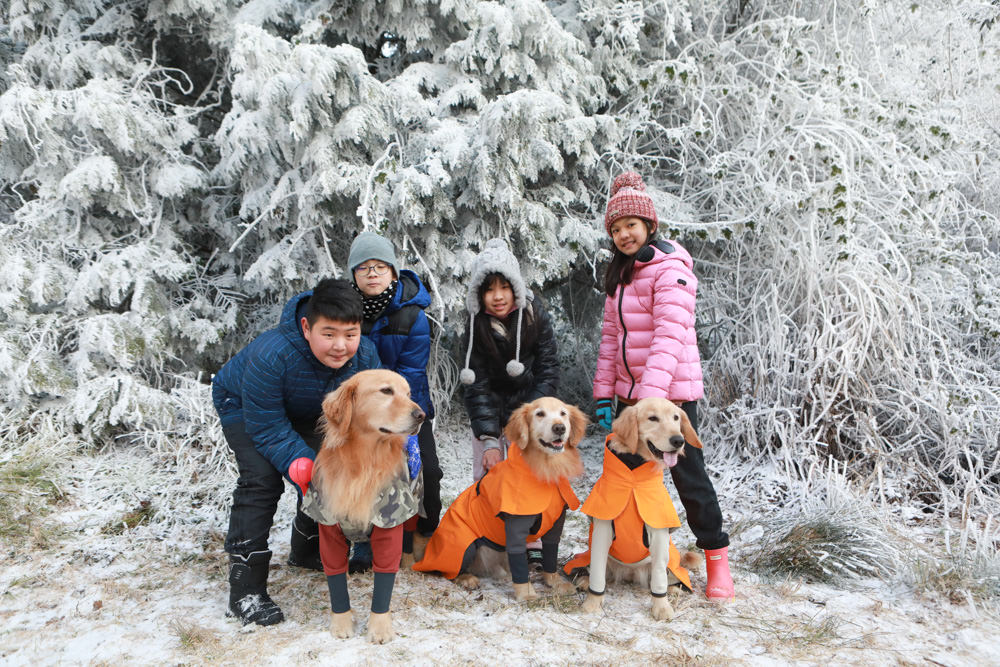 宜蘭景點｜思源埡口下雪。台七甲線宜蘭、台中交界、絕美銀白世界、雪白森林中中的寂寞派出所