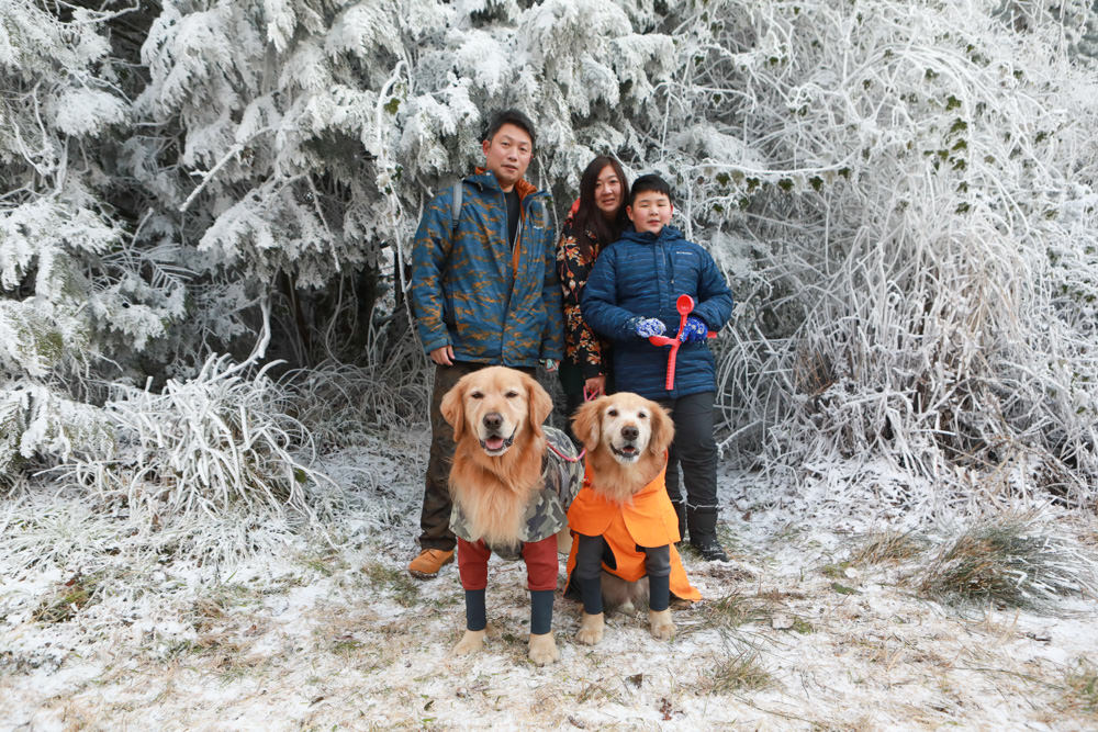 宜蘭景點｜思源埡口下雪。台七甲線宜蘭、台中交界、絕美銀白世界、雪白森林中中的寂寞派出所