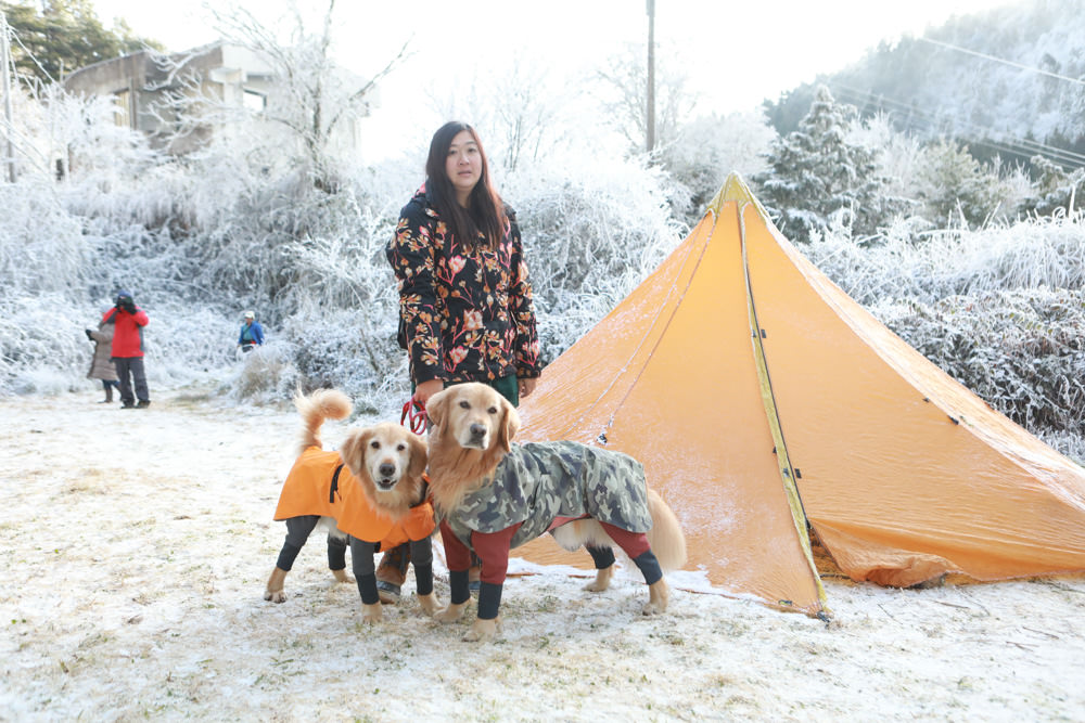 宜蘭景點｜思源埡口下雪。台七甲線宜蘭、台中交界、絕美銀白世界、雪白森林中中的寂寞派出所