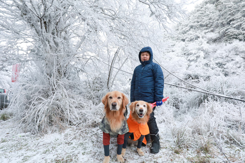 宜蘭景點｜思源埡口下雪。台七甲線宜蘭、台中交界、絕美銀白世界、雪白森林中中的寂寞派出所