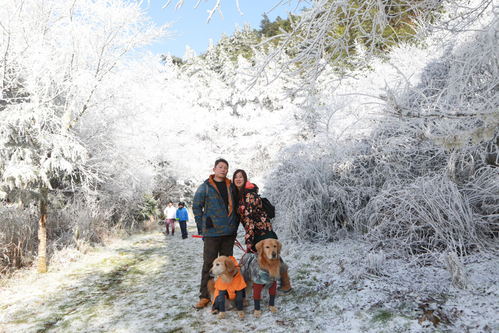 宜蘭景點｜思源埡口下雪。台七甲線宜蘭、台中交界、絕美銀白世界、雪白森林中中的寂寞派出所