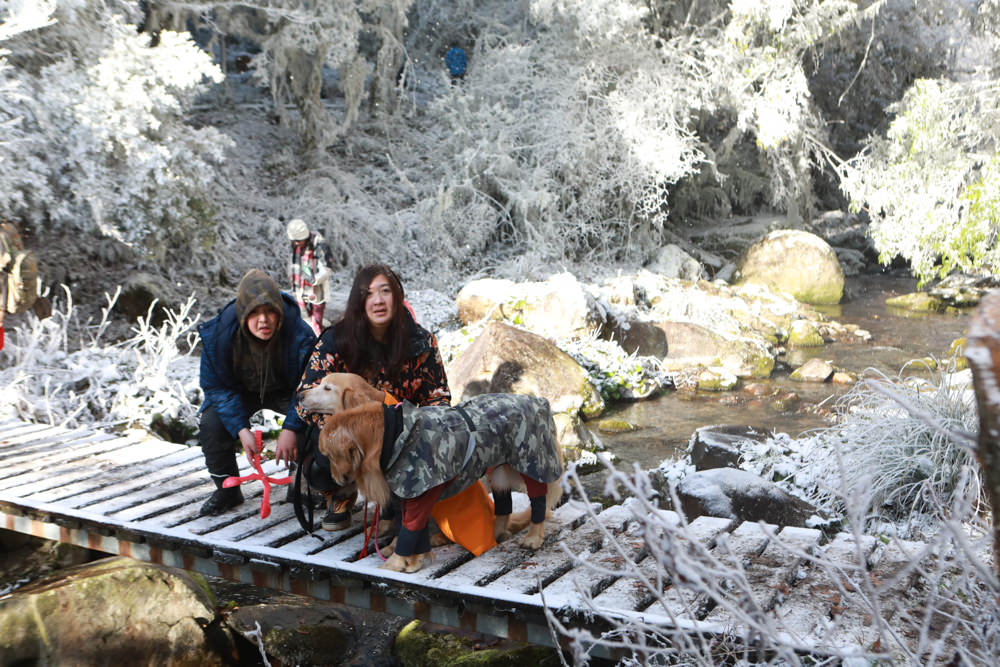 宜蘭景點｜思源埡口下雪。台七甲線宜蘭、台中交界、絕美銀白世界、雪白森林中中的寂寞派出所