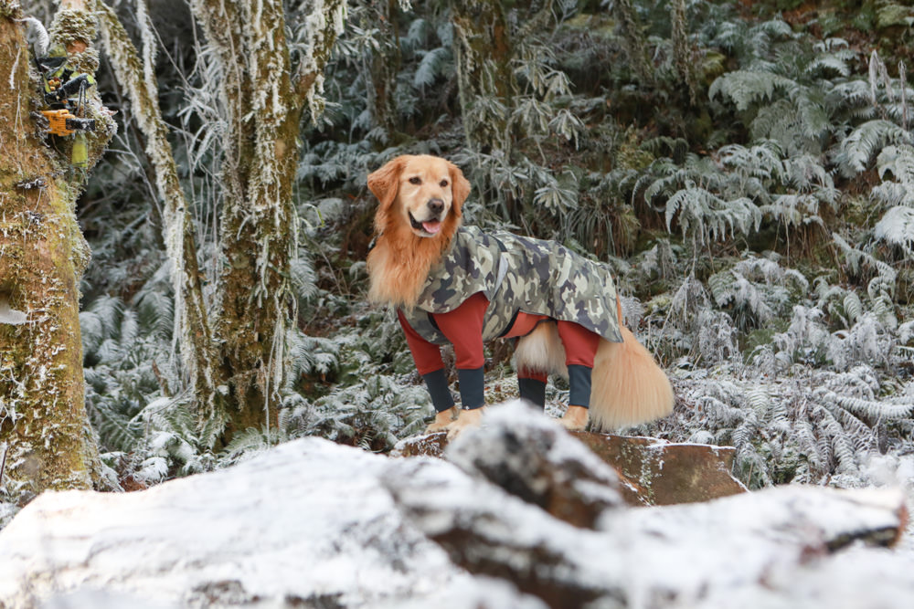 宜蘭景點｜思源埡口下雪。台七甲線宜蘭、台中交界、絕美銀白世界、雪白森林中中的寂寞派出所