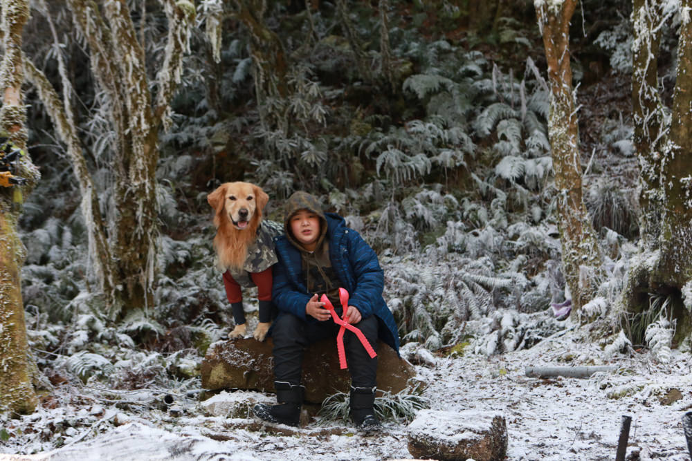 宜蘭景點｜思源埡口下雪。台七甲線宜蘭、台中交界、絕美銀白世界、雪白森林中中的寂寞派出所