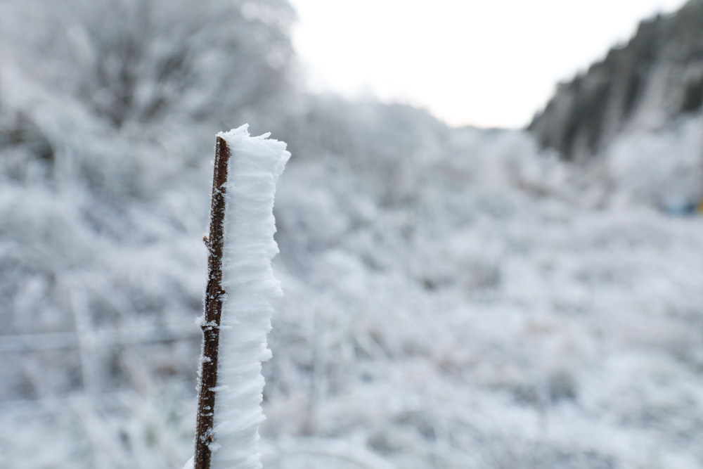 宜蘭景點｜思源埡口下雪。台七甲線宜蘭、台中交界、絕美銀白世界、雪白森林中中的寂寞派出所