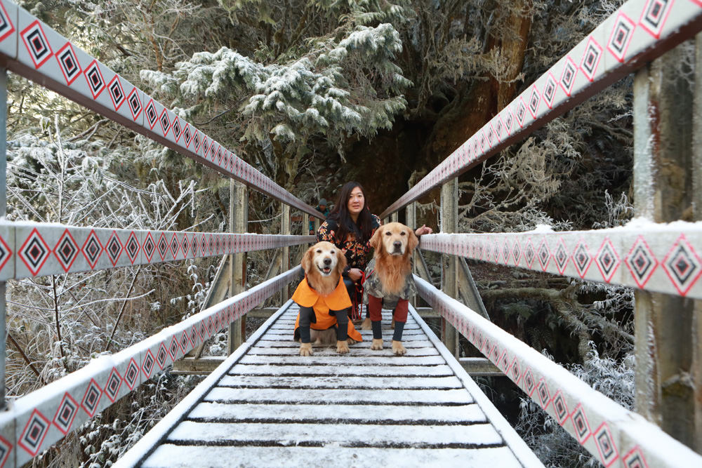 宜蘭景點｜思源埡口下雪。台七甲線宜蘭、台中交界、絕美銀白世界、雪白森林中中的寂寞派出所