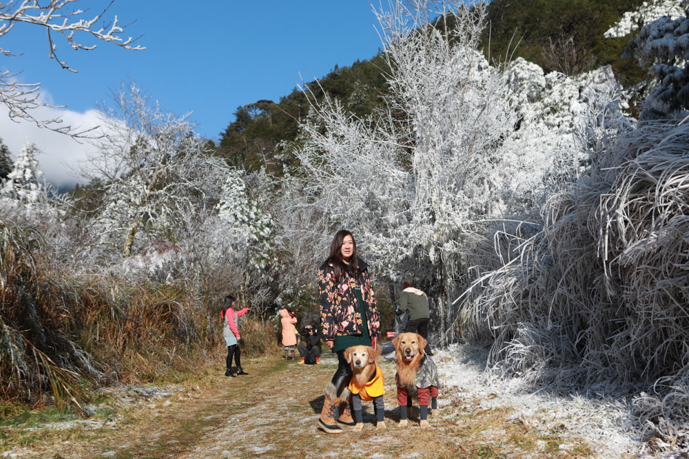 宜蘭景點｜思源埡口下雪。台七甲線宜蘭、台中交界、絕美銀白世界、雪白森林中中的寂寞派出所