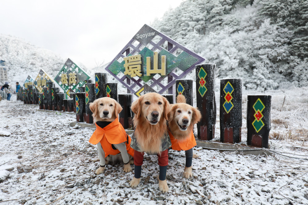 宜蘭景點｜思源埡口下雪。台七甲線宜蘭、台中交界、絕美銀白世界、雪白森林中中的寂寞派出所