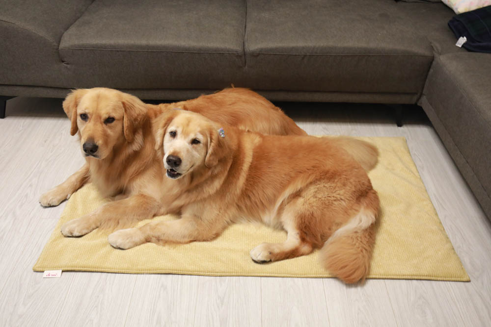 寵物睡墊｜ETERNO寵物萬用墊～遠紅外線升級版。寒冬老犬必備！寵物睡墊、沙發墊、旅行露營攜帶睡墊