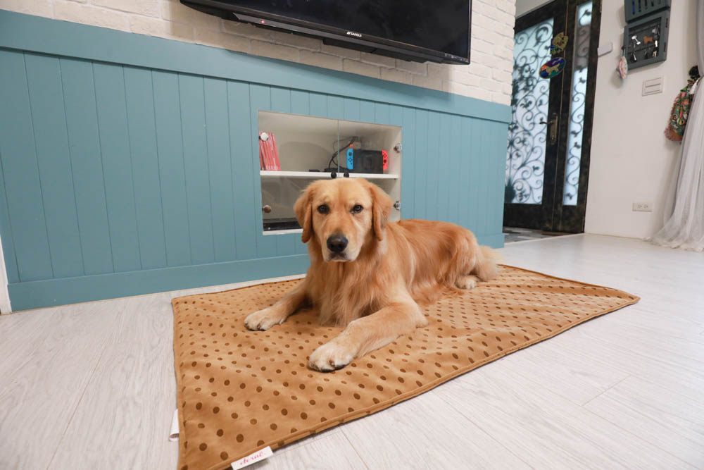 寵物睡墊｜ETERNO寵物萬用墊～遠紅外線升級版。寒冬老犬必備！寵物睡墊、沙發墊、旅行露營攜帶睡墊