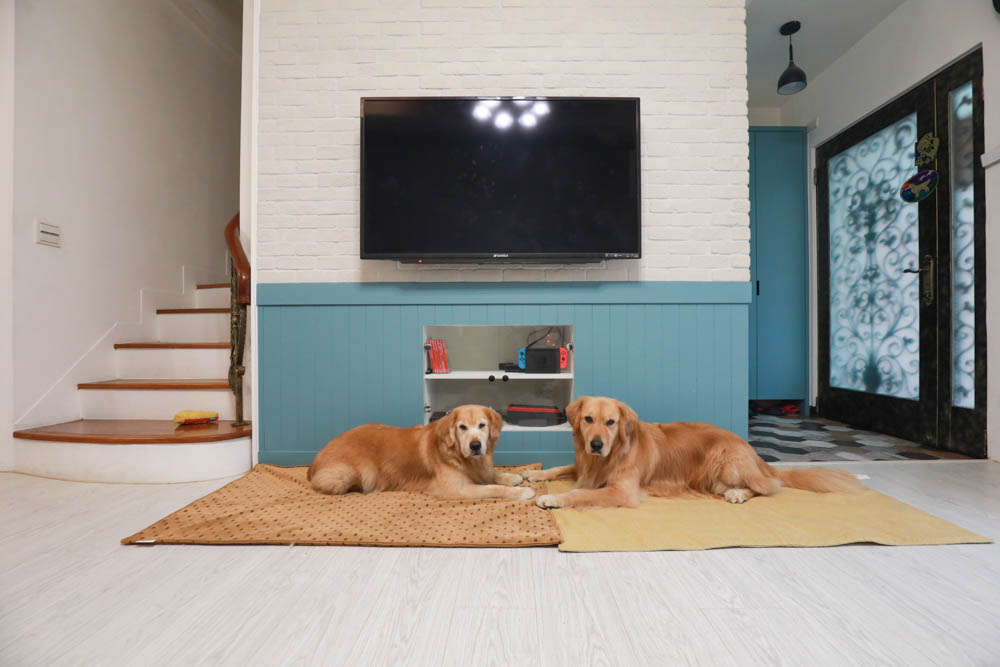 寵物睡墊｜ETERNO寵物萬用墊～遠紅外線升級版。寒冬老犬必備！寵物睡墊、沙發墊、旅行露營攜帶睡墊