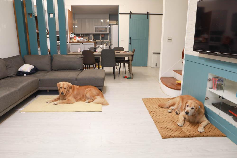 寵物睡墊｜ETERNO寵物萬用墊～遠紅外線升級版。寒冬老犬必備！寵物睡墊、沙發墊、旅行露營攜帶睡墊