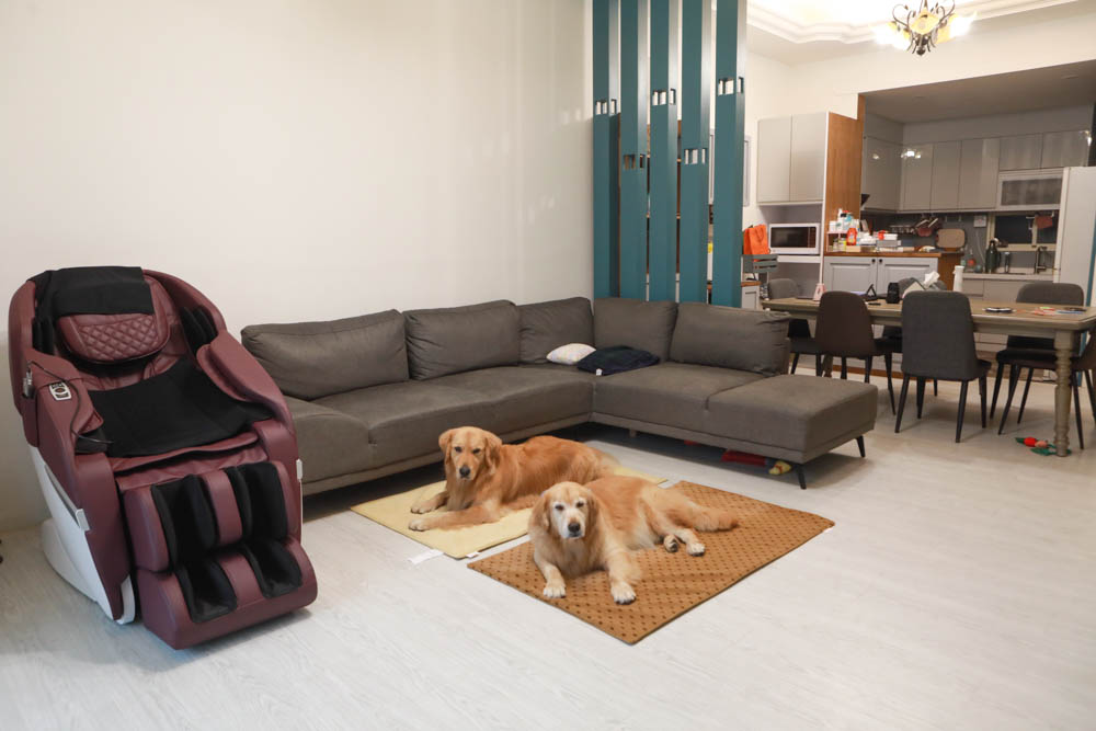 寵物睡墊｜ETERNO寵物萬用墊～遠紅外線升級版。寒冬老犬必備！寵物睡墊、沙發墊、旅行露營攜帶睡墊