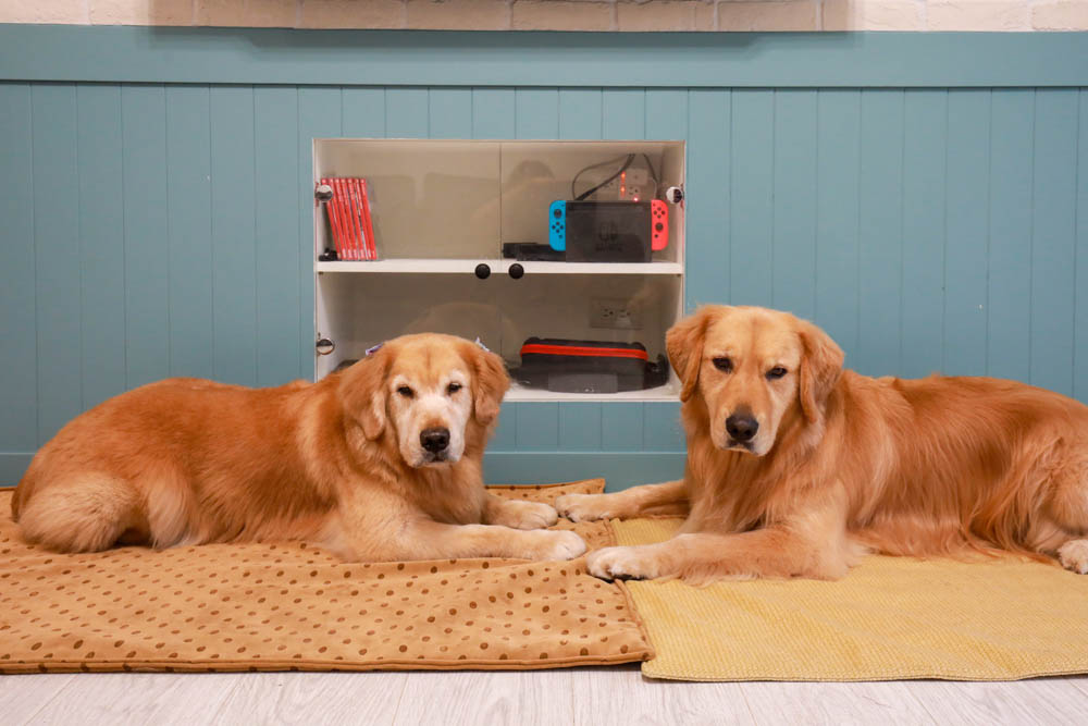 寵物睡墊｜ETERNO寵物萬用墊～遠紅外線升級版。寒冬老犬必備！寵物睡墊、沙發墊、旅行露營攜帶睡墊