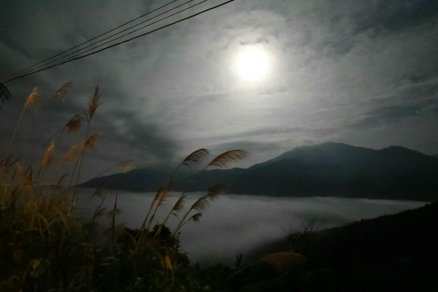 新竹｜愛上喜翁豪華露營Glamping。全包式一泊四食豪華露營、寵物友善奢華露營、手做DIY體驗