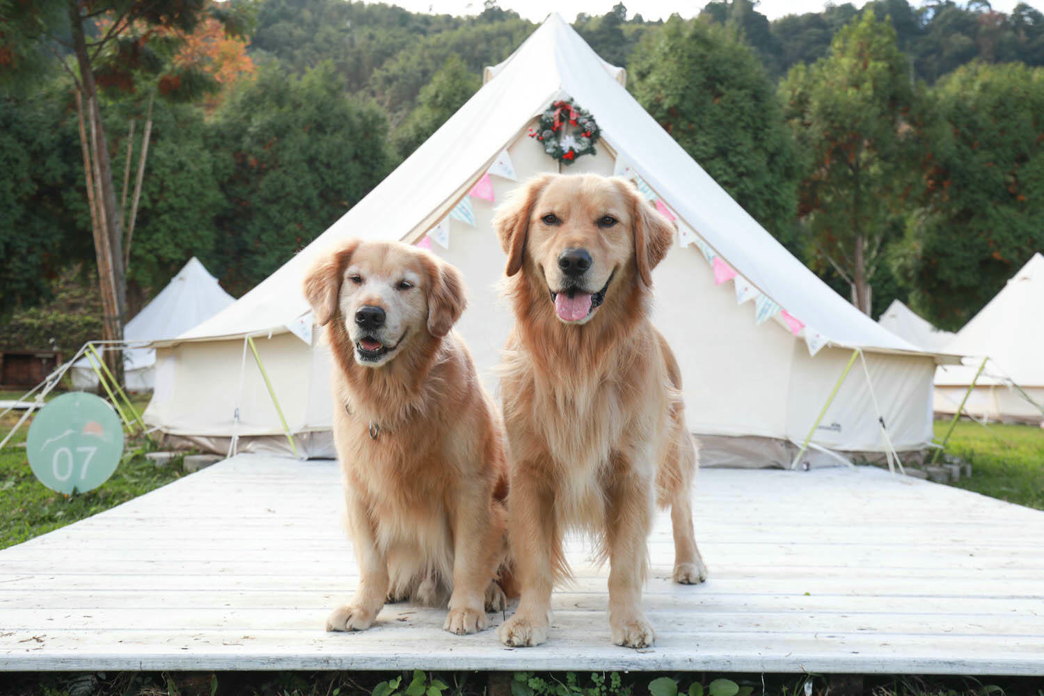 新竹｜愛上喜翁豪華露營Glamping。全包式一泊四食豪華露營、寵物友善奢華露營、手做DIY體驗