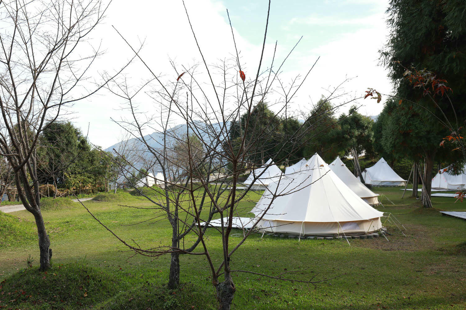 新竹｜愛上喜翁豪華露營Glamping。全包式一泊四食豪華露營、寵物友善奢華露營、手做DIY體驗