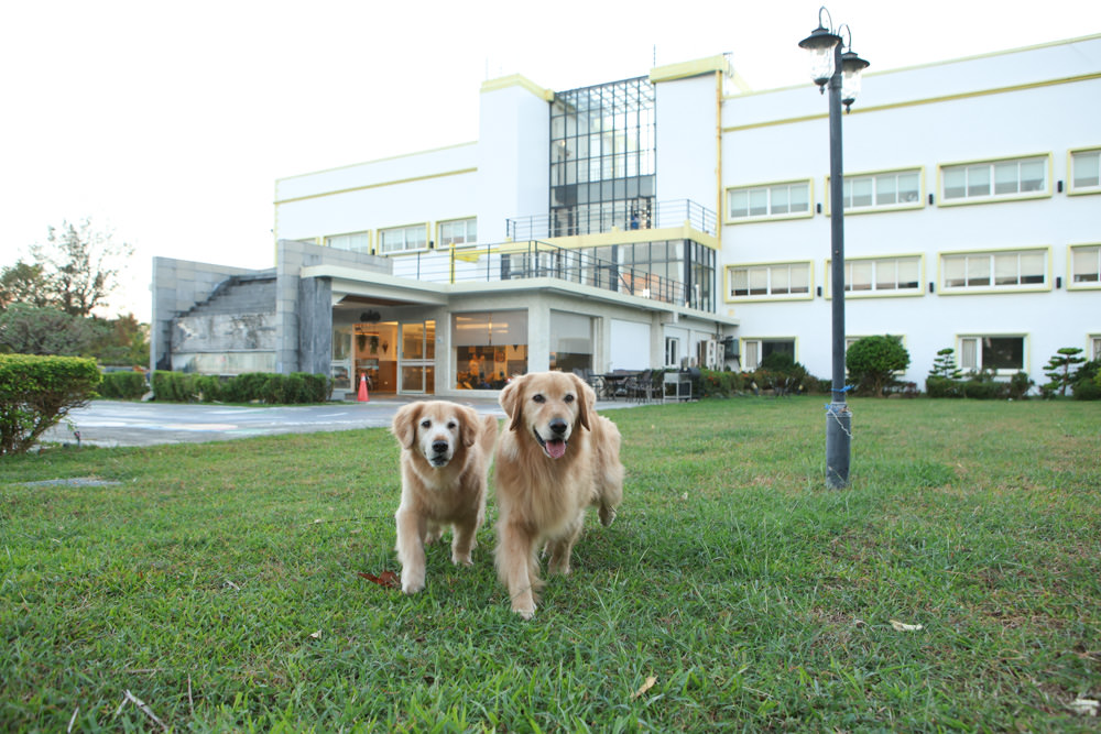 墾丁住宿｜戀戀星辰湖畔莊園民宿-星光館。絕美龍鑾潭湖畔景緻、墾丁寵物友善民宿、墾丁親子民宿、係水池、大草皮、兒童賽車
