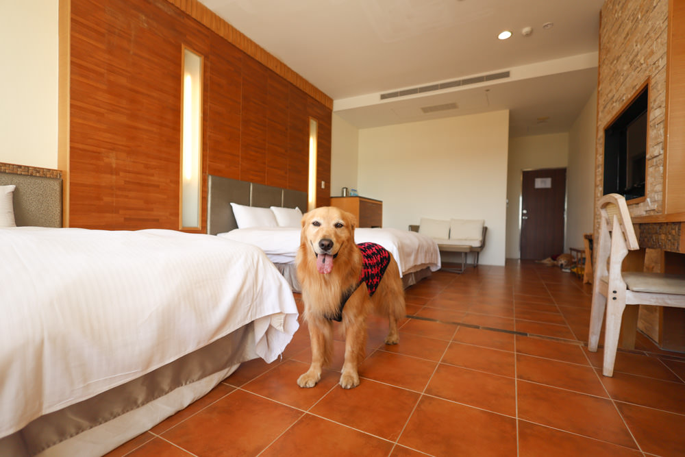 墾丁住宿｜戀戀星辰湖畔莊園民宿-星光館。絕美龍鑾潭湖畔景緻、墾丁寵物友善民宿、墾丁親子民宿、係水池、大草皮、兒童賽車