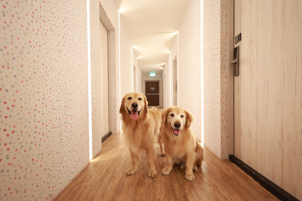 墾丁住宿|戀戀星辰湖畔莊園民宿 星辰館。龍鑾潭湖畔旁、墾丁寵物友善民宿、墾丁親子民宿 - 第5張圖 墾丁住宿|戀戀星辰湖畔莊園民宿 星辰館。龍鑾潭湖畔旁、墾丁寵物友善民宿、墾丁親子民宿