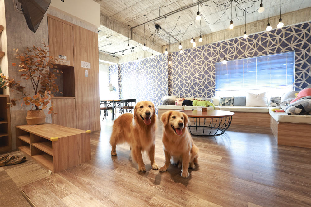 墾丁住宿|戀戀星辰湖畔莊園民宿 星辰館。龍鑾潭湖畔旁、墾丁寵物友善民宿、墾丁親子民宿 - 第27張圖 墾丁住宿|戀戀星辰湖畔莊園民宿 星辰館。龍鑾潭湖畔旁、墾丁寵物友善民宿、墾丁親子民宿