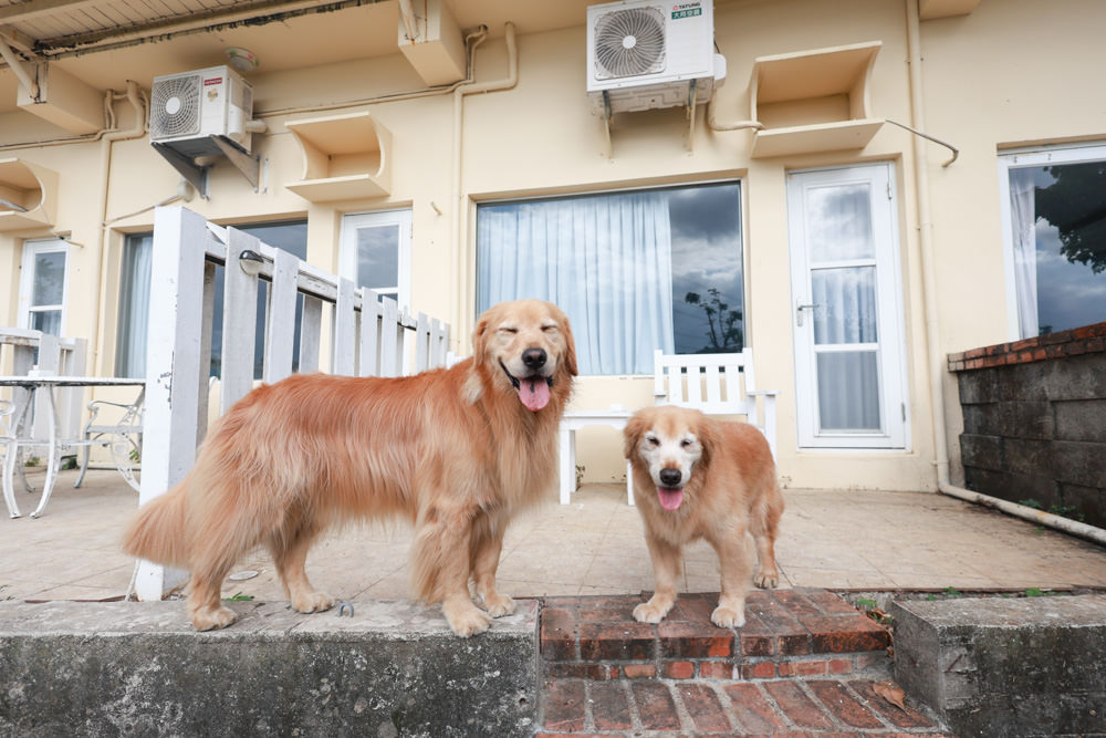 墾丁住宿|戀戀星辰湖畔莊園民宿 星辰館。龍鑾潭湖畔旁、墾丁寵物友善民宿、墾丁親子民宿 - 第18張圖 墾丁住宿|戀戀星辰湖畔莊園民宿 星辰館。龍鑾潭湖畔旁、墾丁寵物友善民宿、墾丁親子民宿