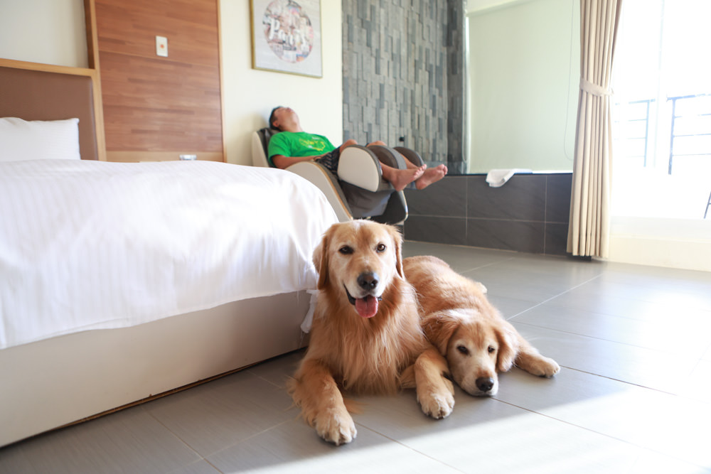 墾丁住宿｜戀戀星辰湖畔莊園民宿-星光館。絕美龍鑾潭湖畔景緻、墾丁寵物友善民宿、墾丁親子民宿、係水池、大草皮、兒童賽車