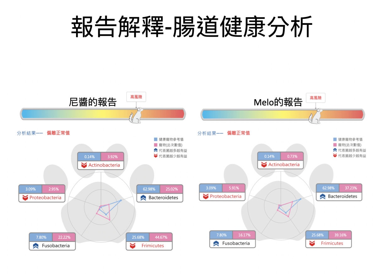 寵安適 精準寵物腸道微菌分析｜你家毛孩吃的益生菌真的適合嗎？犬貓腸道環境健康分析、寵物腸道好壞菌檢測