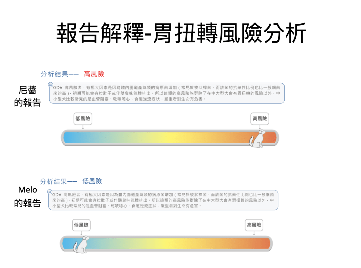 寵安適 精準寵物腸道微菌分析｜你家毛孩吃的益生菌真的適合嗎？犬貓腸道環境健康分析、寵物腸道好壞菌檢測