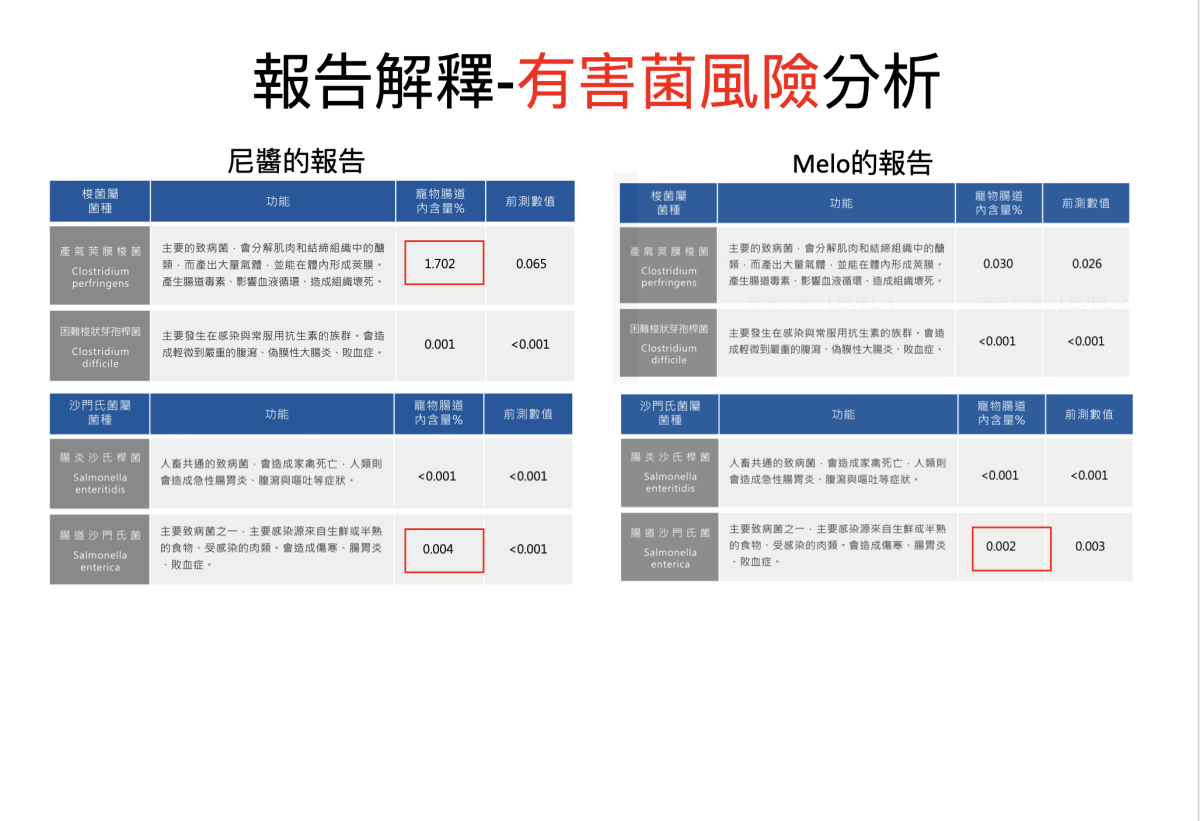 寵安適 精準寵物腸道微菌分析｜你家毛孩吃的益生菌真的適合嗎？犬貓腸道環境健康分析、寵物腸道好壞菌檢測