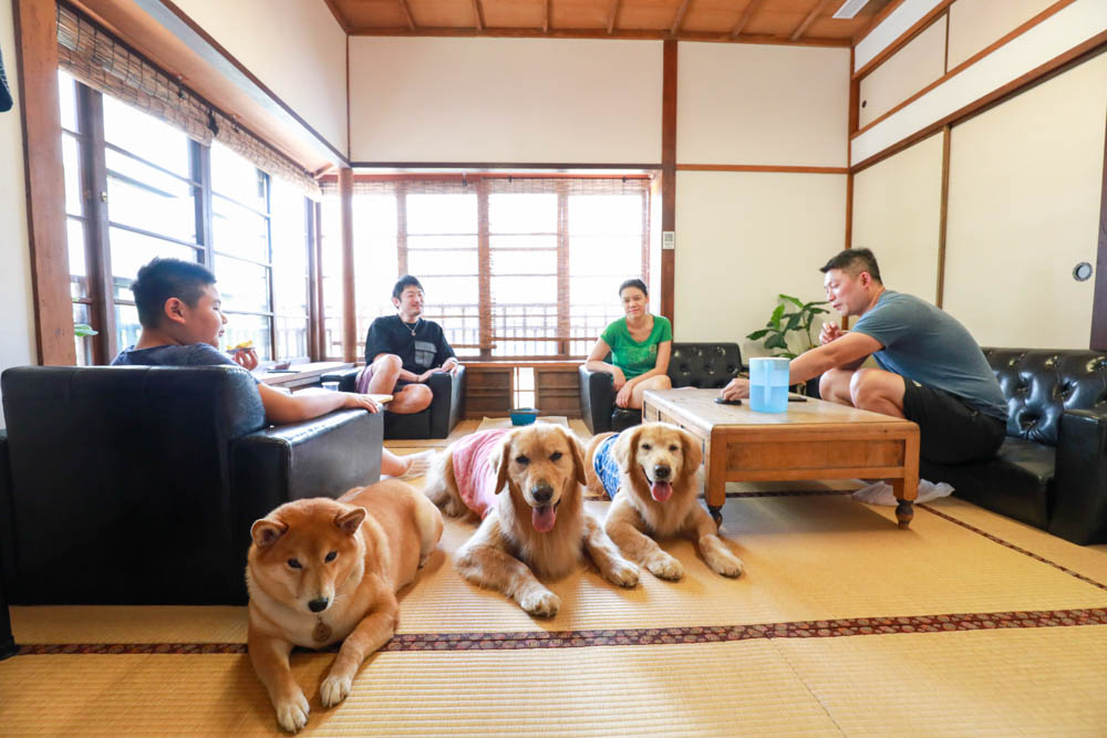 花蓮古蹟咖啡廳｜斗宅揀茶舍。日治時期檢察長宿舍、有專屬預約制寵物友善包廂！！