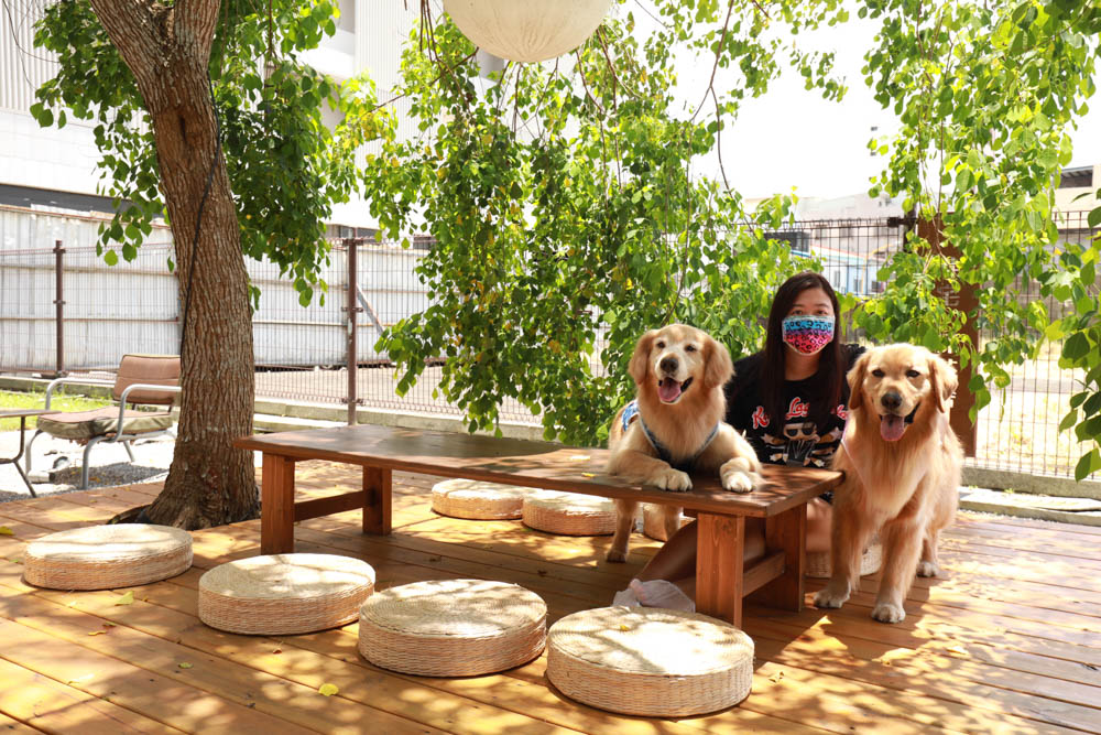 花蓮古蹟咖啡廳｜斗宅揀茶舍。日治時期檢察長宿舍、有專屬預約制寵物友善包廂！！
